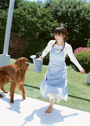 シロアリ駆除のアサンテ｜即日対応・土日祝も安心の無料診断サービス